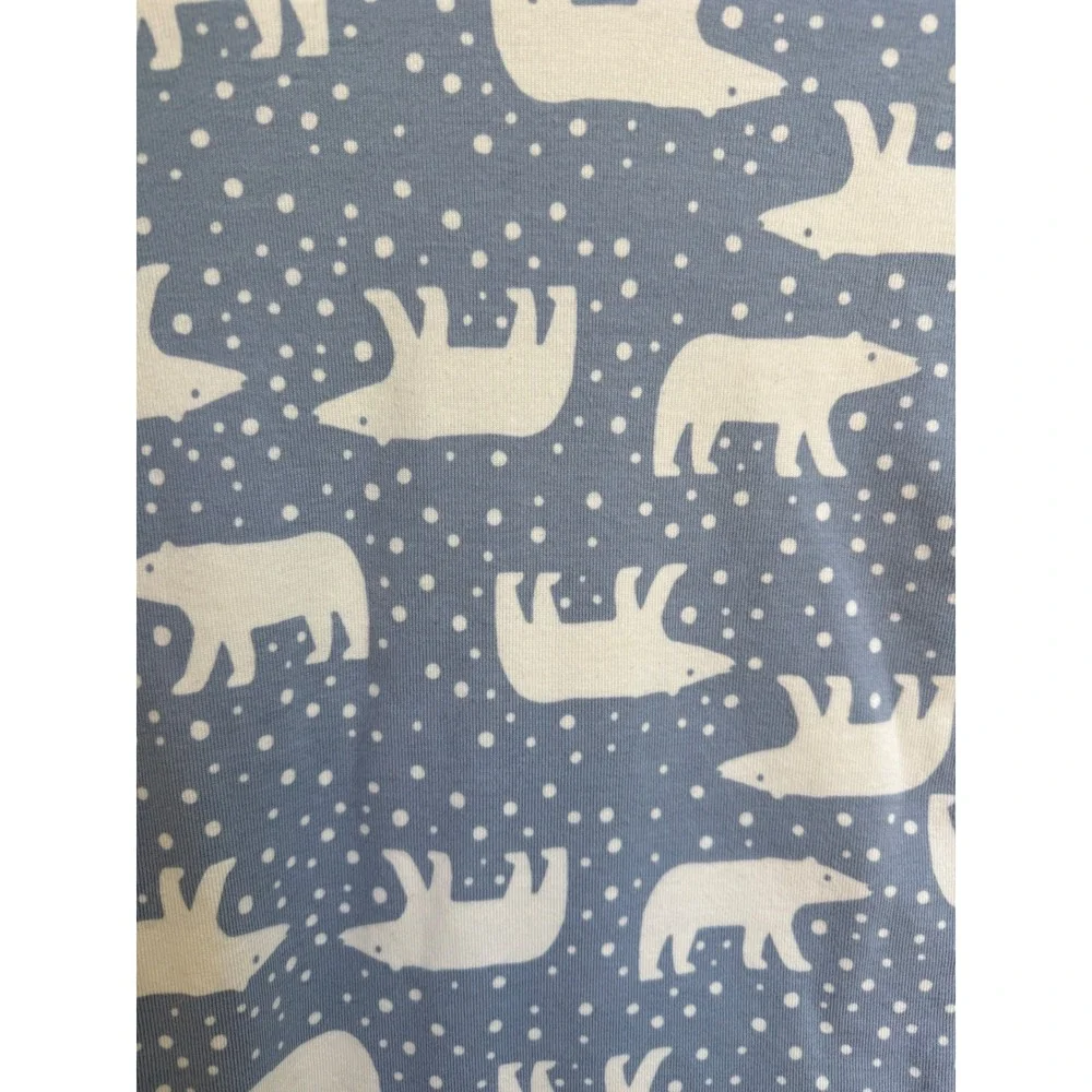 Hanna Andersson Kids Blue‎ Polar Bear Organic Cotton Pajama Set Size 12/14 160cm